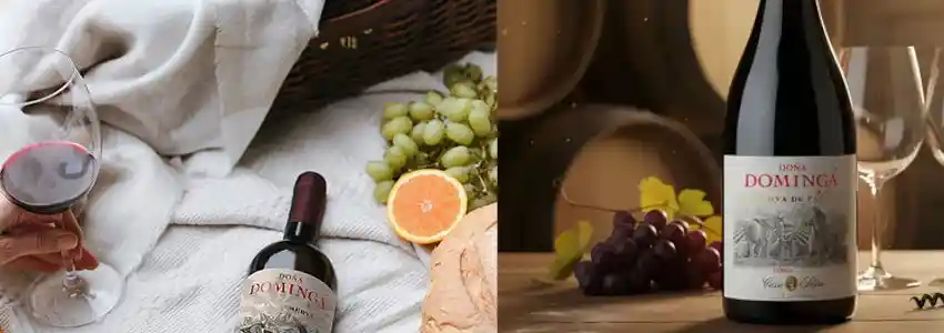 Doña Dominga Doña Dominga