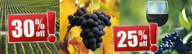 Vinos Tintos Vinos Tintos