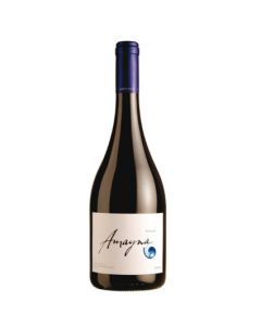 Garcés Silva Amayna Syrah 