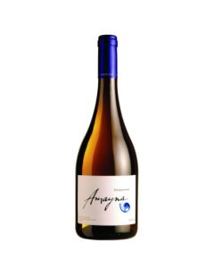 Garcés Silva Amayna Chardonnay 