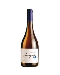 Garcés Silva Amayna Sauvignon Blanc 