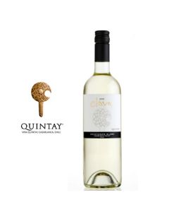 Vino Quintay Clava Sauvignon Blanc