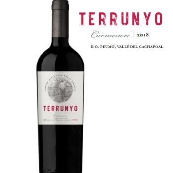 Terrunyo Carmenere de Concha y Toro 