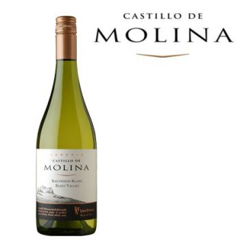 Castillo de Molina Sauvignon Blanc Elqui. Viña San Pedro