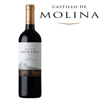 Castillo de Molina Merlot. Viña San Pedro