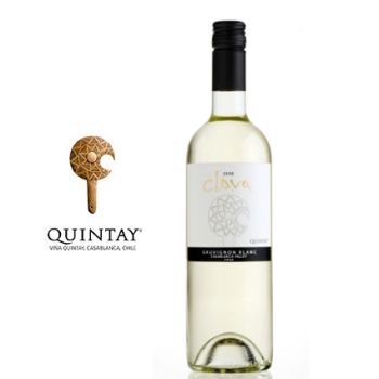 Vino Quintay Clava Sauvignon Blanc