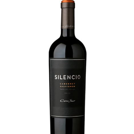 Conosur Silencio 2017