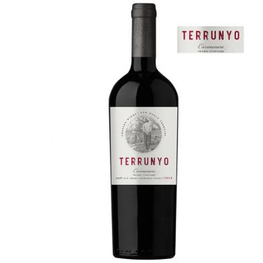 Terrunyo Carmenere de Concha y Toro 