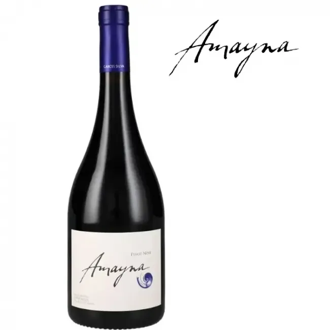 Amayna Pinot Noir de viña Garcés Silva  