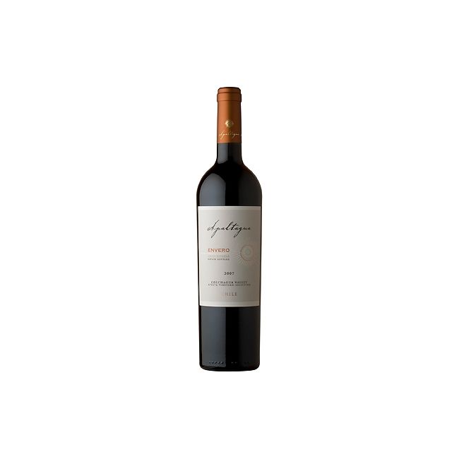 Apaltagua Envero Carmenere