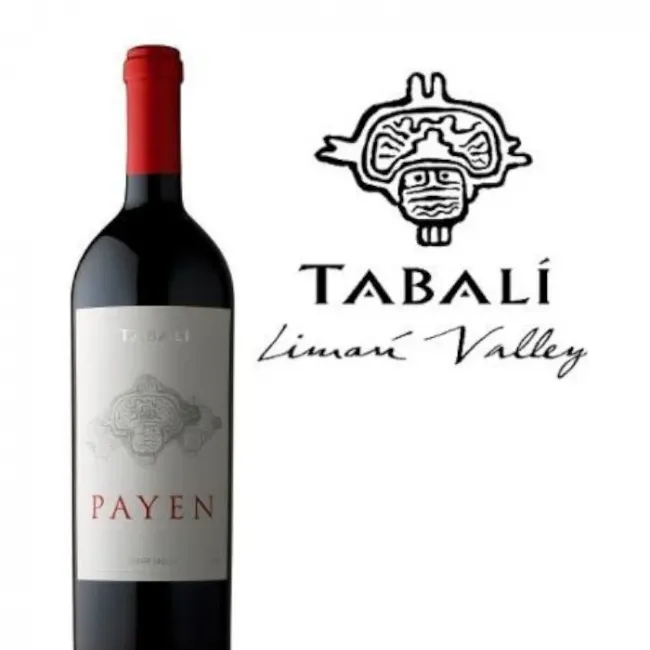 Tabalí Payen Syrah