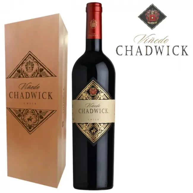 Viñedo Chadwick 2022 icono